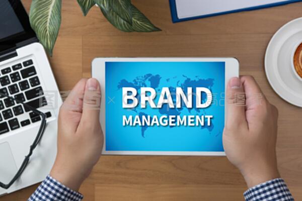 品牌管理 构建企业无形资产的战略核心